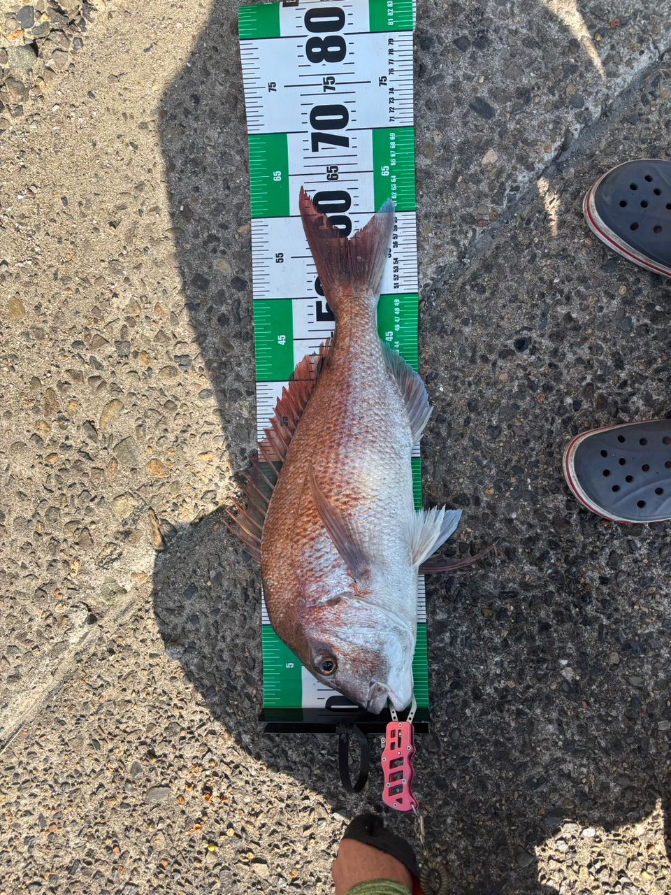 DAIWA 18ブラスト LT LT6000D-Hの最安値・インプレ・釣果 | 本音の