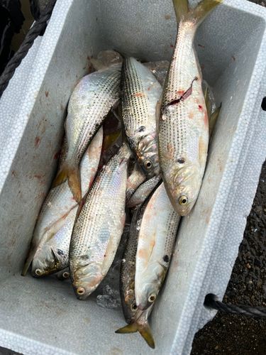 千葉港中央埠頭