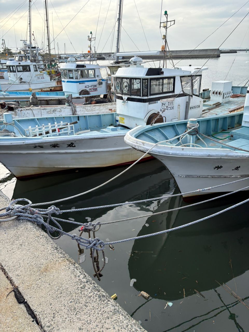 Gamakatsu ラグゼ EGTR X S510M-solidの最安値・インプレ・釣果 | 本音