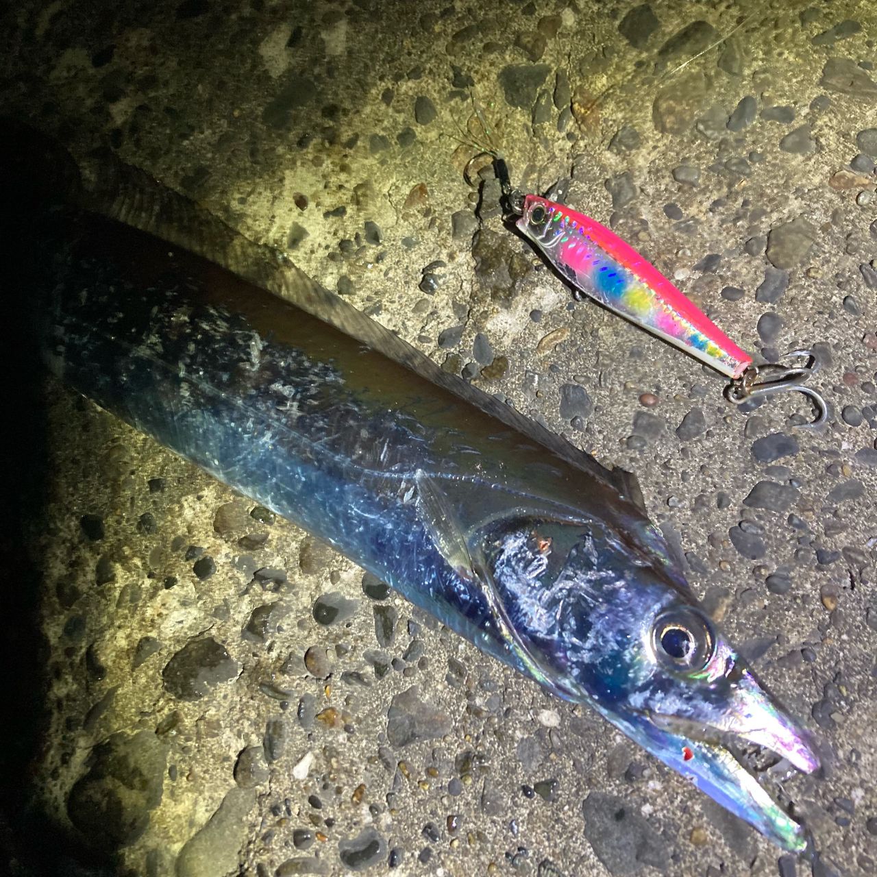 DAIWA 22オーバーゼア 100MHHの最安値・インプレ・釣果 | 本音の口コミ