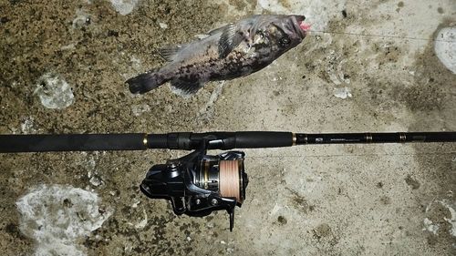 キラキラ公園（苫小牧西港）