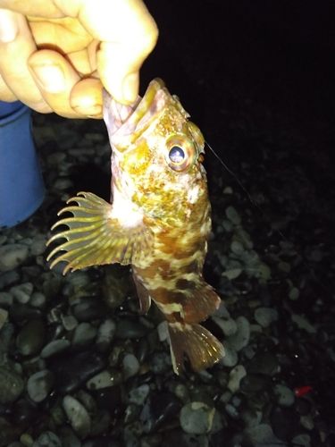 用宗広野海岸公園