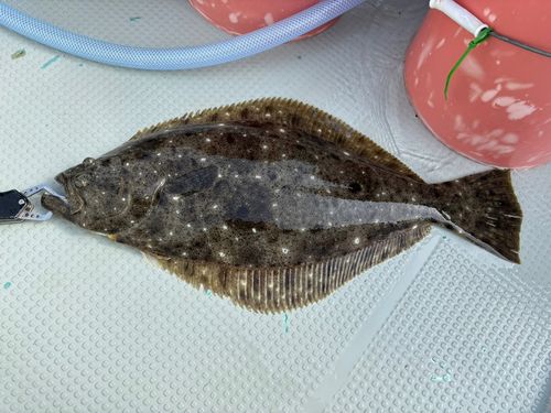 三陸海岸（宮城）