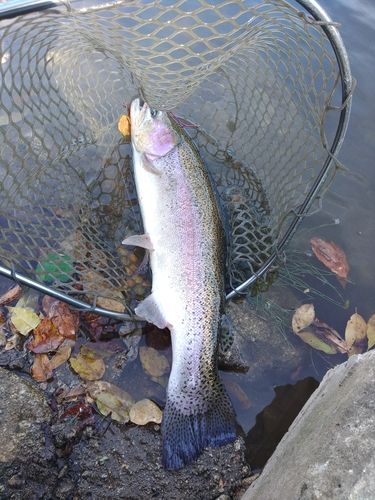 フィッシングエリアほのぼの