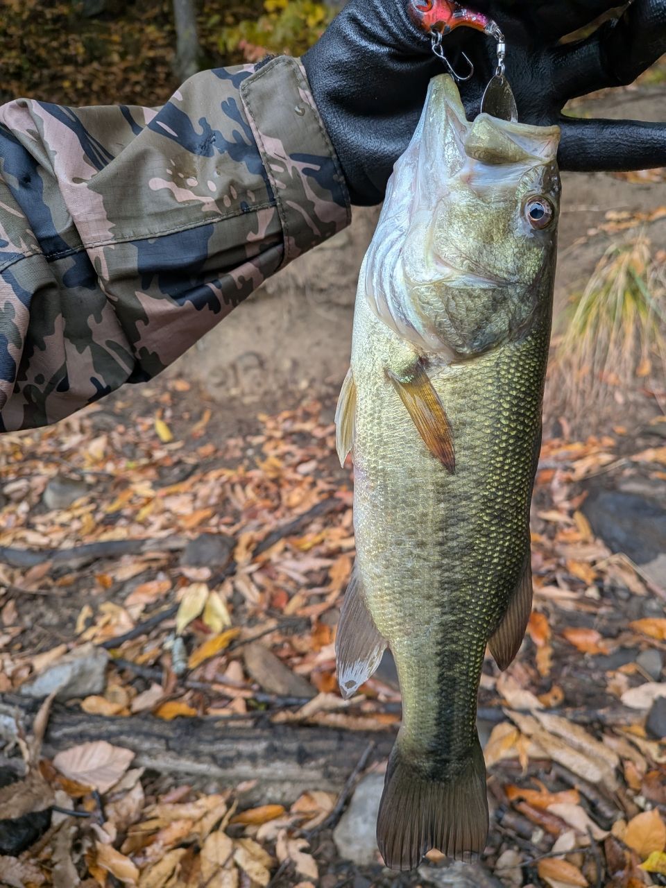 DAIWA 18ハートランド 802MHRB-21の最安値・インプレ・釣果 | 本音の