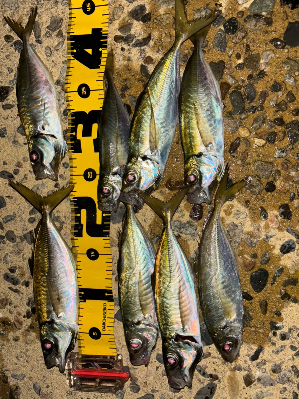 Gamakatsu ラグゼ 宵姫 華 弍 S69UL-solidの最安値・インプレ・釣果