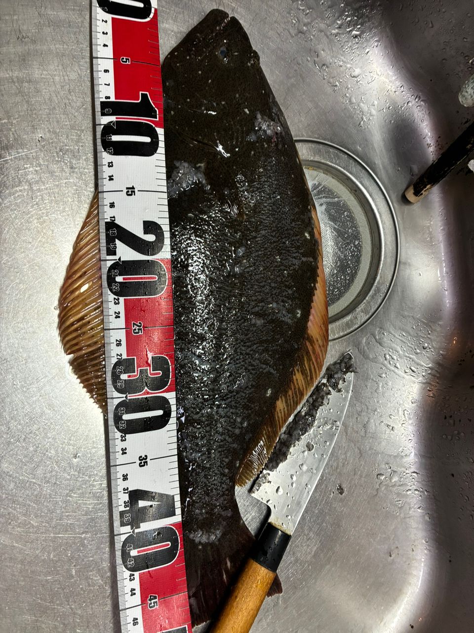 AiSakiさんの釣果 2枚目の画像