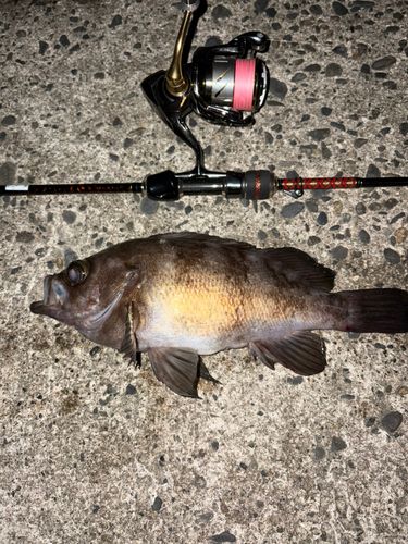 網代浜海水浴場