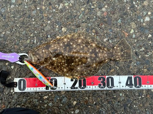 塩屋海岸（石川）