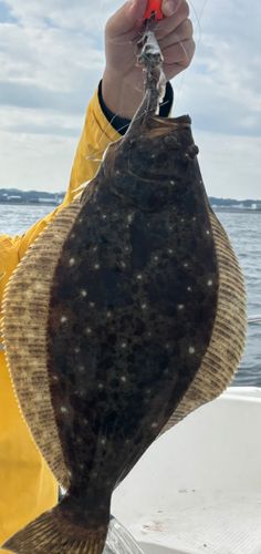 東京湾（アクアライン〜富津）