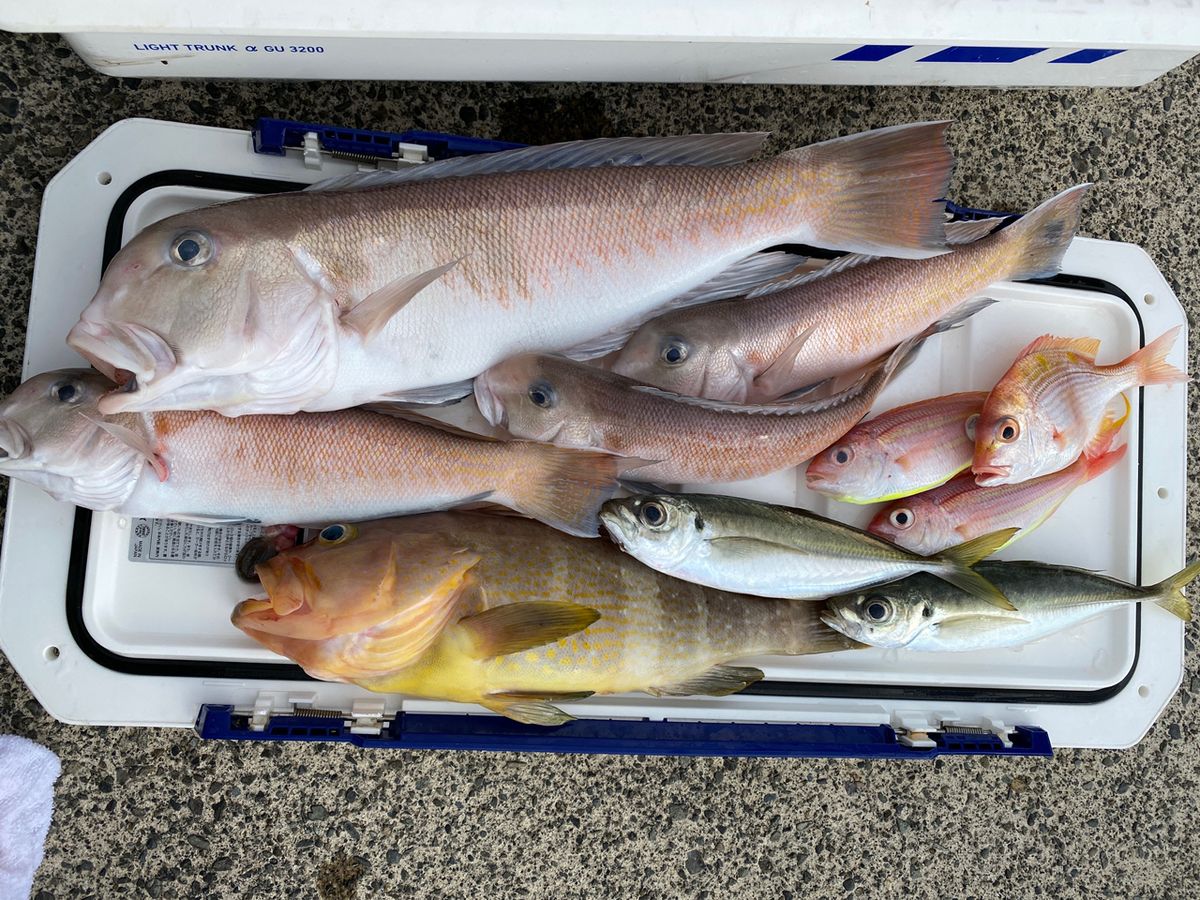 けまろつさんの釣果 2枚目の画像