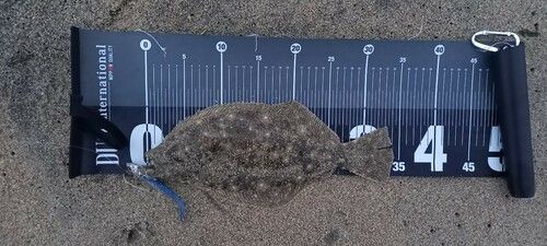 新舞子海岸（いわき）