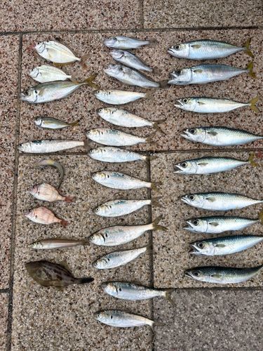 小名浜港アクアマリンふくしま周辺