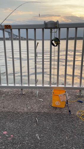 若洲海浜公園海釣り施設