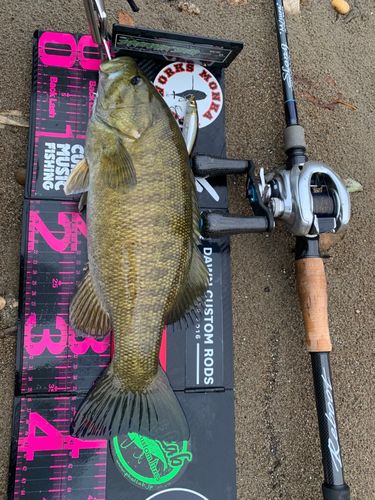 スモールマウスバスの釣果
