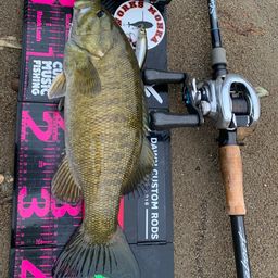 スモールマウスバス