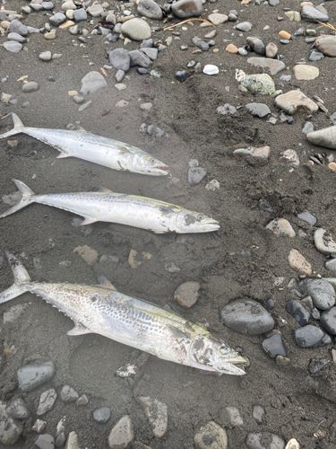 大浜海岸（静岡）