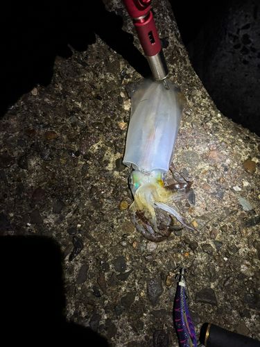 日吉原公共埠頭