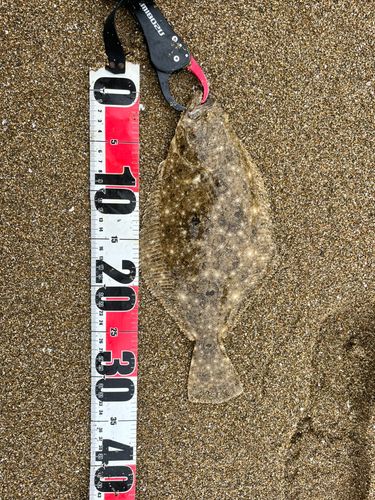 塩屋海岸（石川）