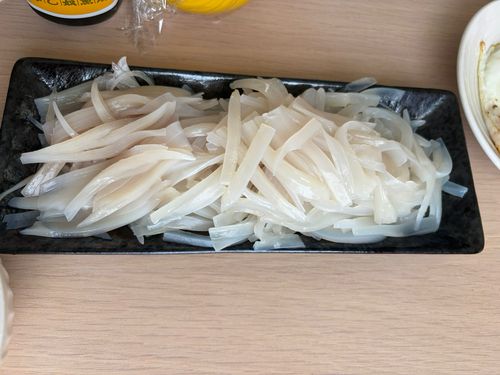 スルメイカの釣果