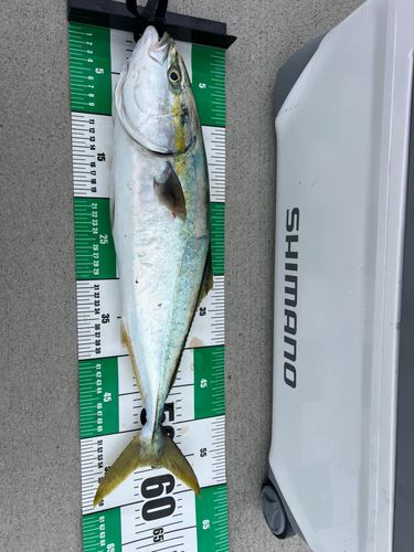 新地町海釣り公園