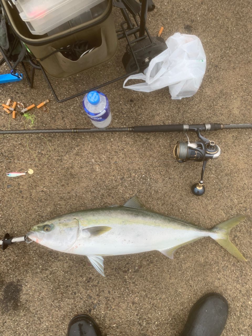 DAIWA 23ソルティガ 6000-XHの最安値・インプレ・釣果 | 本音の口コミ