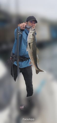 東京湾（アクアライン以北）