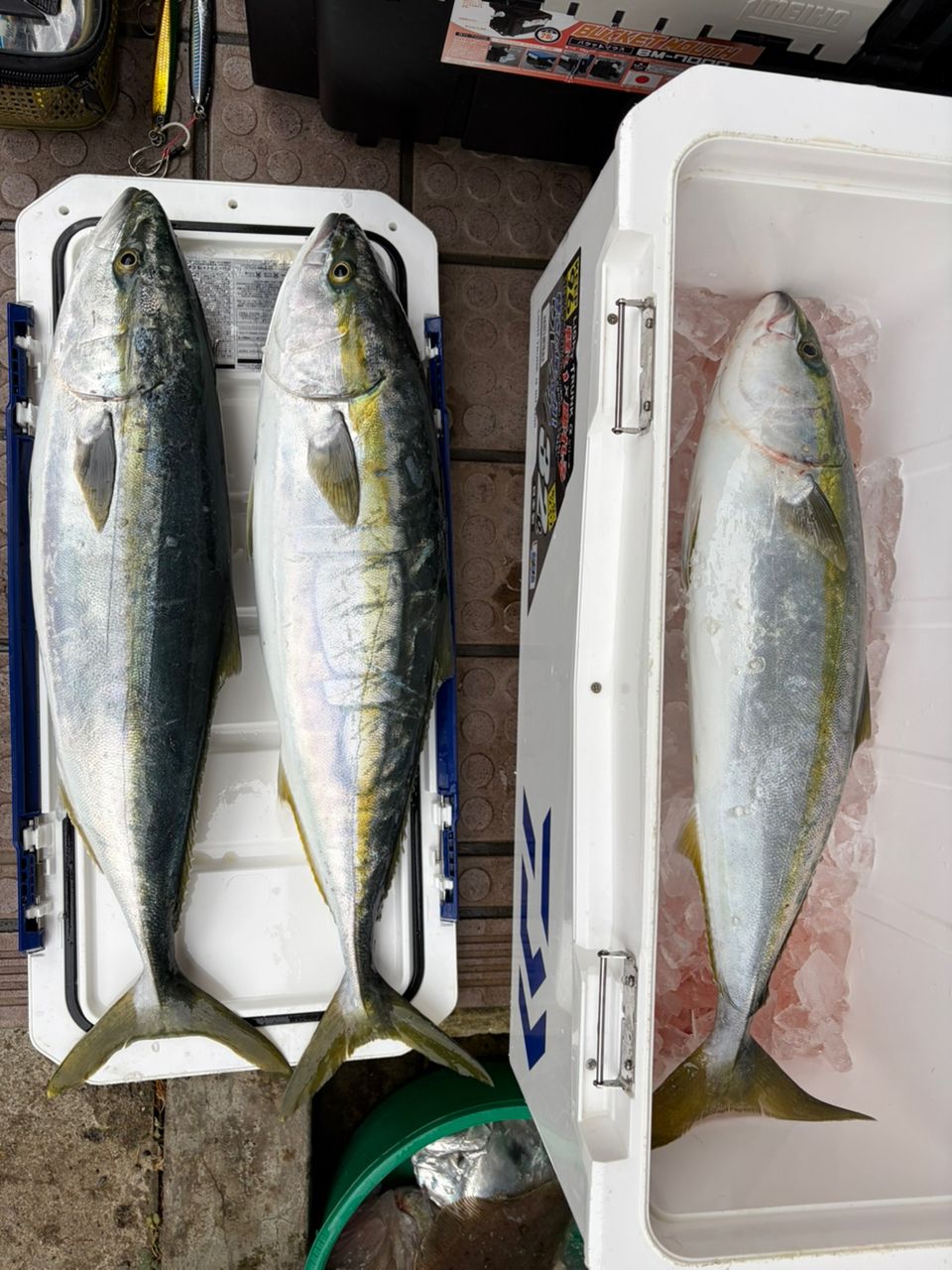 DAIWA 19ヴァデル J60MHS・Yの最安値・インプレ・釣果 | 本音の口コミ