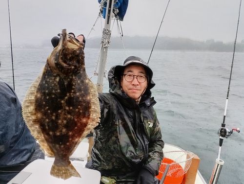ヒラメの釣果