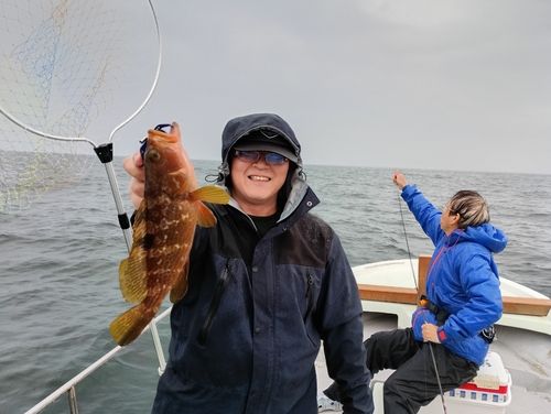 キジハタの釣果