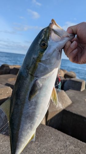 三陸海岸（青森）