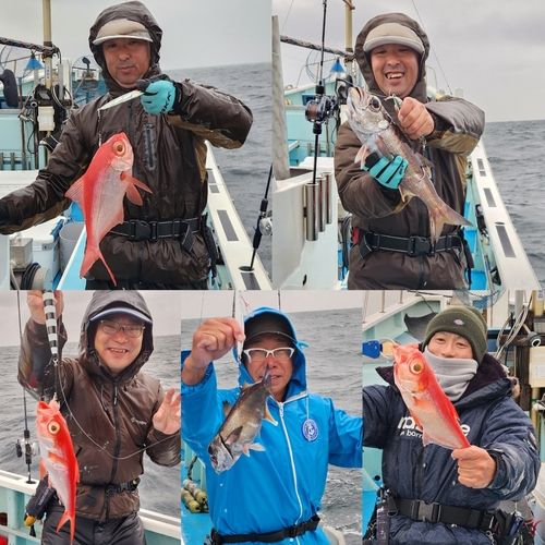 キンメダイの釣果