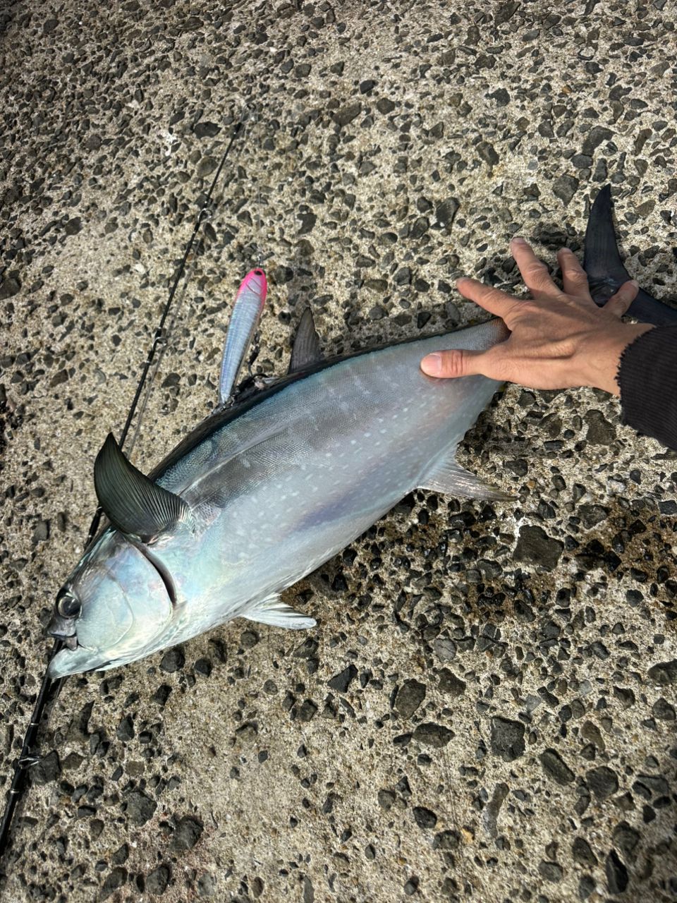 SHIMANO 22コルトスナイパー XR MB S100H-5の最安値・インプレ・釣果