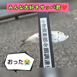 サッパ