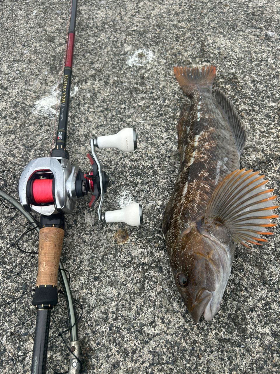 AbuGarcia エラディケーター ロックスイーパー ERSC-777H-MLの最安値