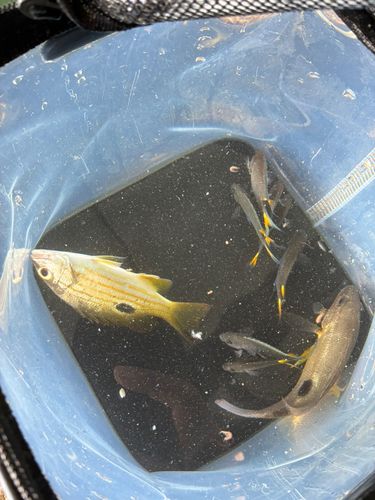 西原・与那原マリンパーク