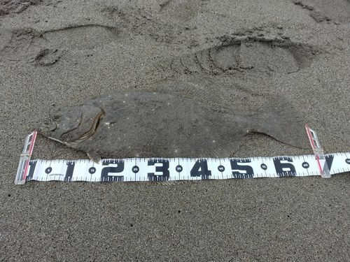 釜谷浜海水浴場