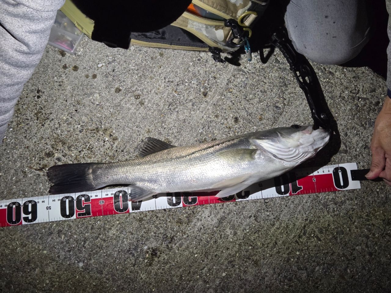 APIA ブルート' HR LONG EXPRESS 90MHの最安値・インプレ・釣果