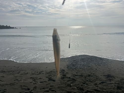 サザンビーチ付近