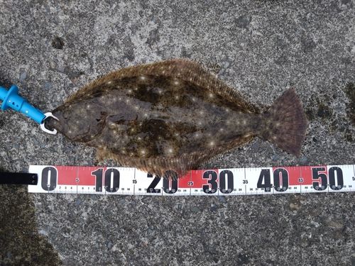 三陸海岸（岩手）