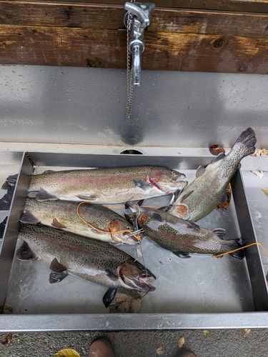 リヴァスポット早戸