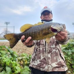 スモールマウスバス