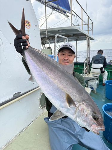 カンパチの釣果