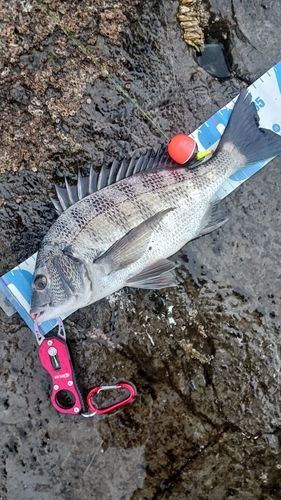 サザンビーチ付近