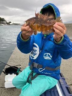 オハグロベラの釣果