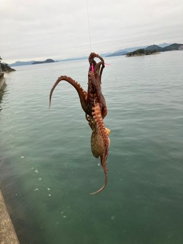 しまなみ海道