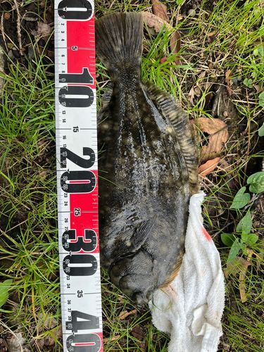 東京湾（アクアライン〜富津）