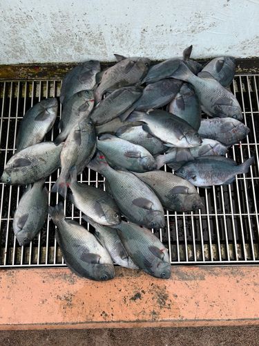 新地町海釣り公園