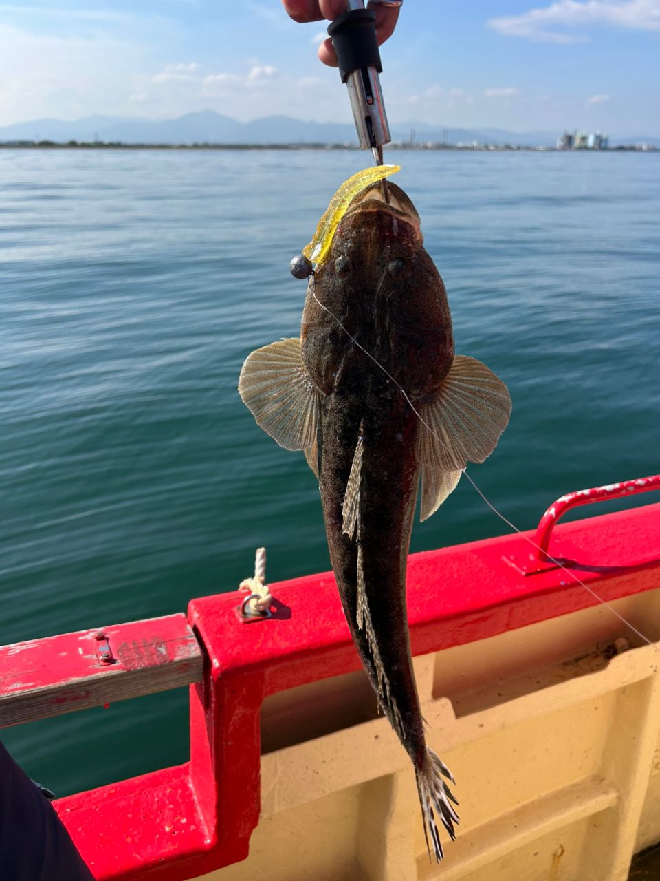 釣りが1番楽しいさんの釣果 2枚目の画像