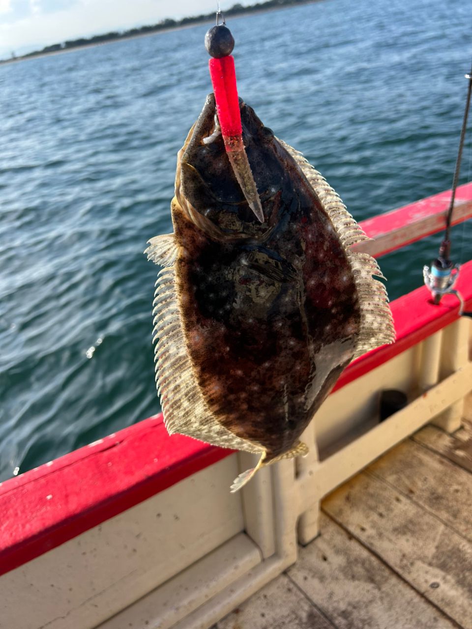 釣りが1番楽しいさんの釣果 3枚目の画像